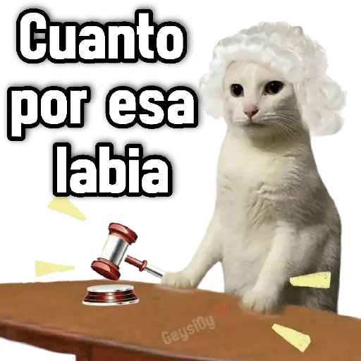 💫 conTrabajo estudio 🤣❣️ 6