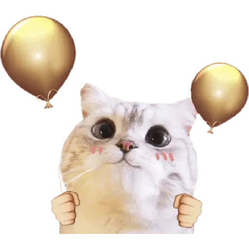 Michis random🐈🐈⬛ 1