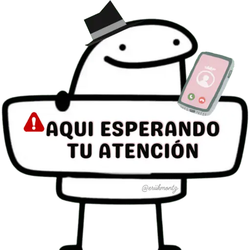 Flork Para Chat 🤪 16