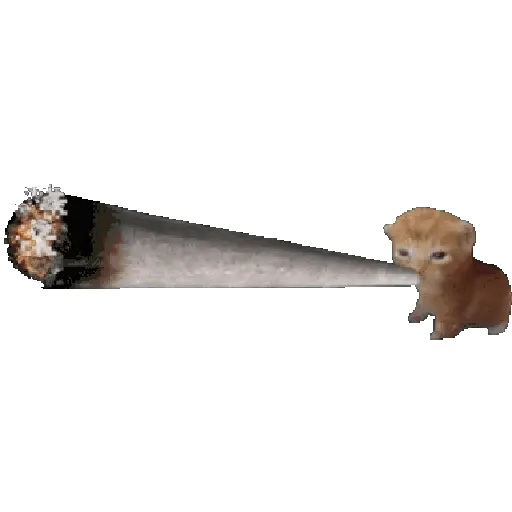pa la peda 2 7