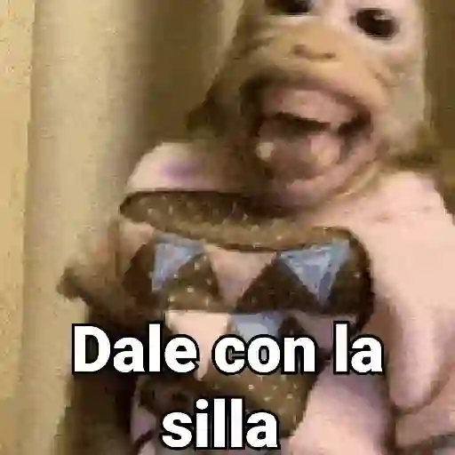 Dale con la silla