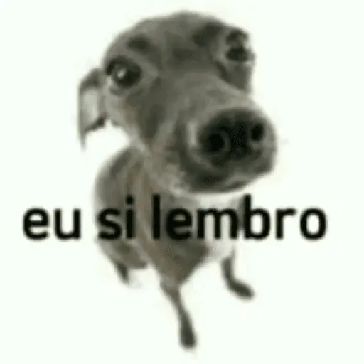 Memes. | @ocenferios Haki. 6