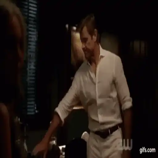Dynasty   Mov 13