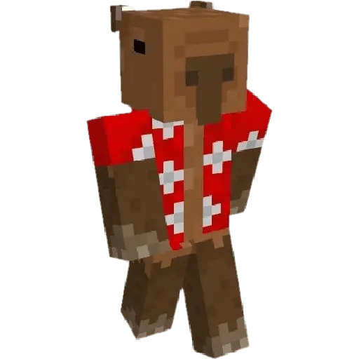 Minecraft 30