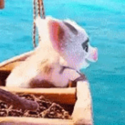 Moana GIFs 17