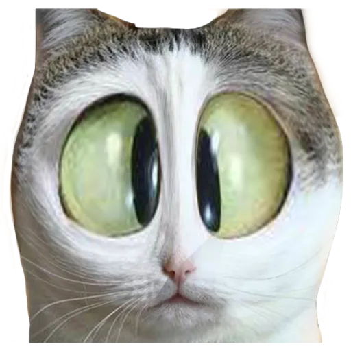 tray-icon