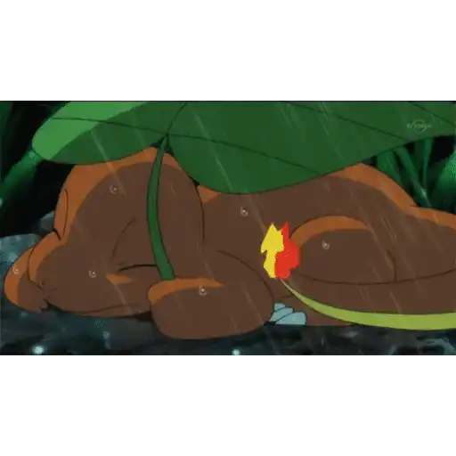 Charmander # 3 12