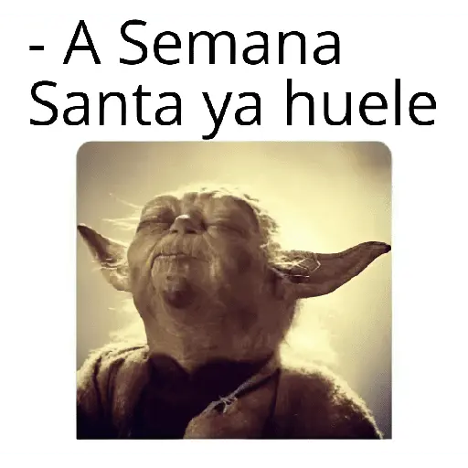 semana santa 🥳 10