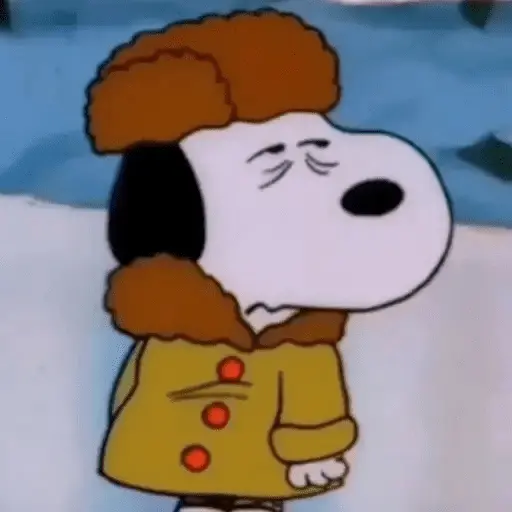 🐾Snoopy enojado 😡 3 🦴 3