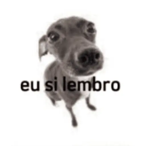 Memes diversos 14