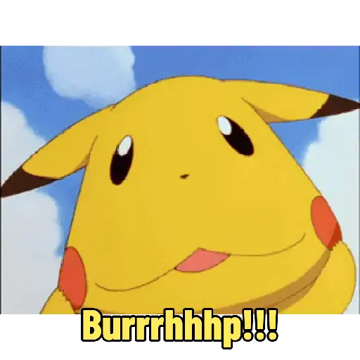 Pokemon 19
