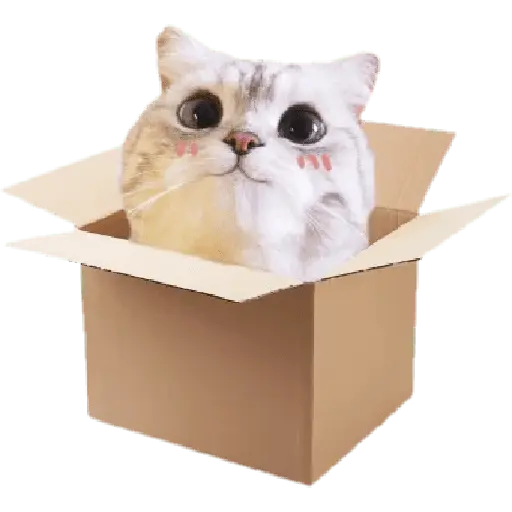 Michis random🐈🐈⬛ 17