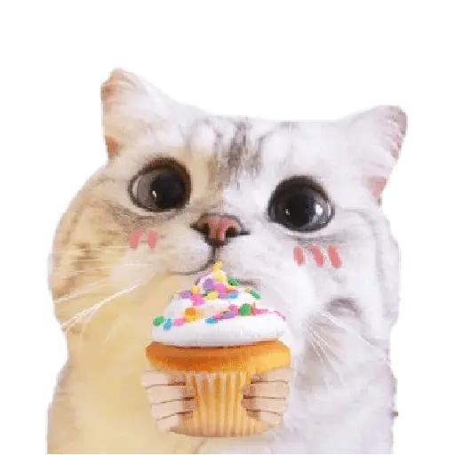 Michis random🐈🐈⬛ 26
