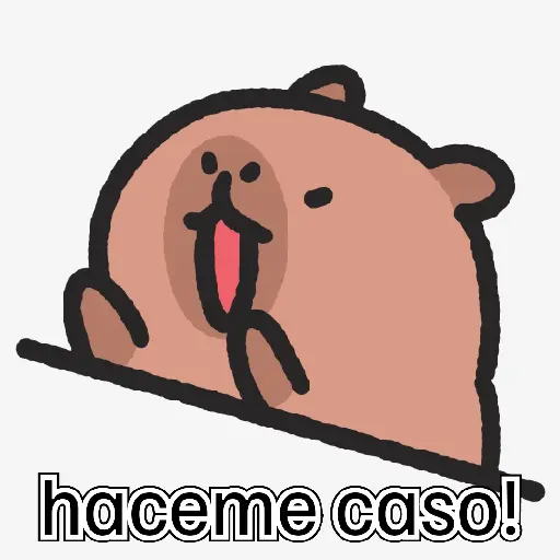 capibara cute 😎 17