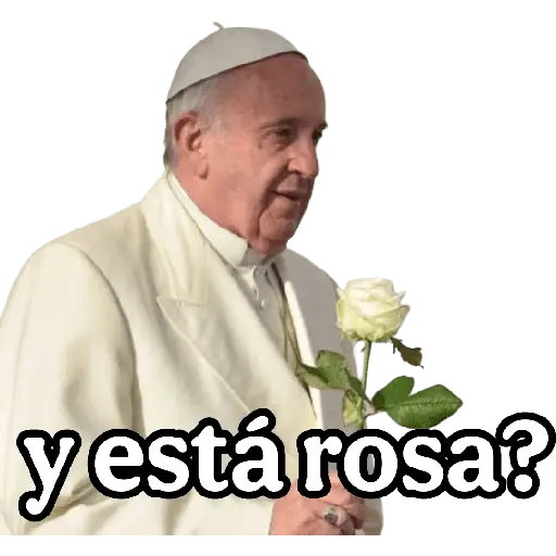 papa Francisco 😎 2