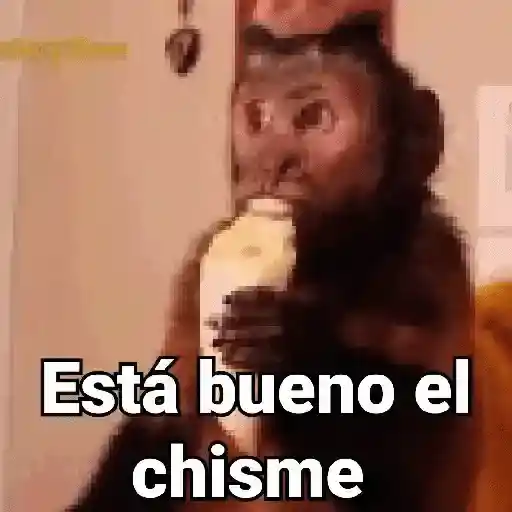 Está bueno el chisme