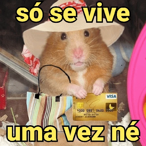 mix de memes 😝 4