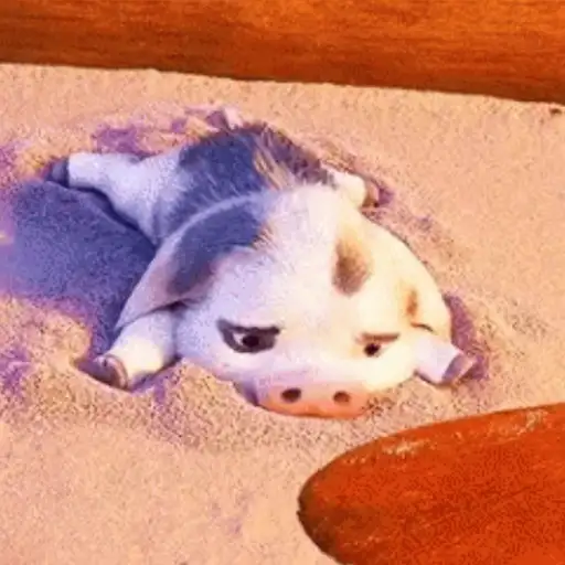Moana GIFs 6