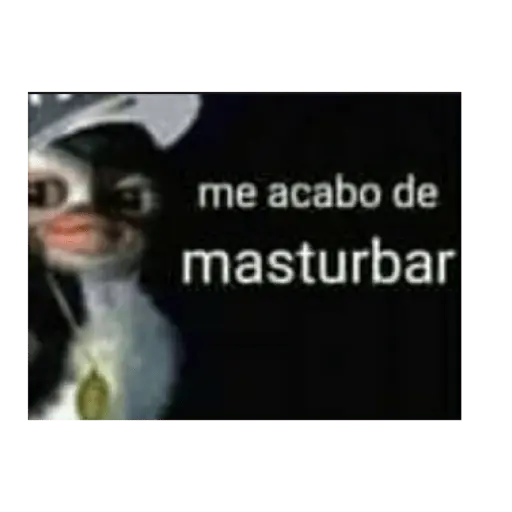 soy admin 11