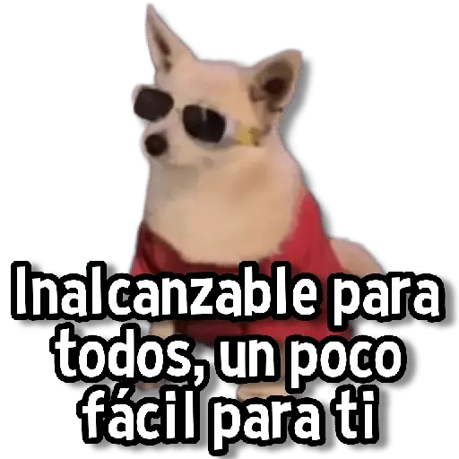 Memes Clásicos 1.0😏💕 16