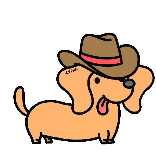Perro Bachicha 16