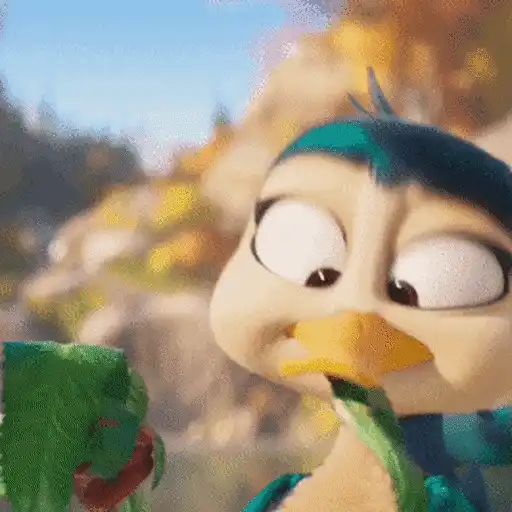 Migration 🦆💕1.1 Mov 24