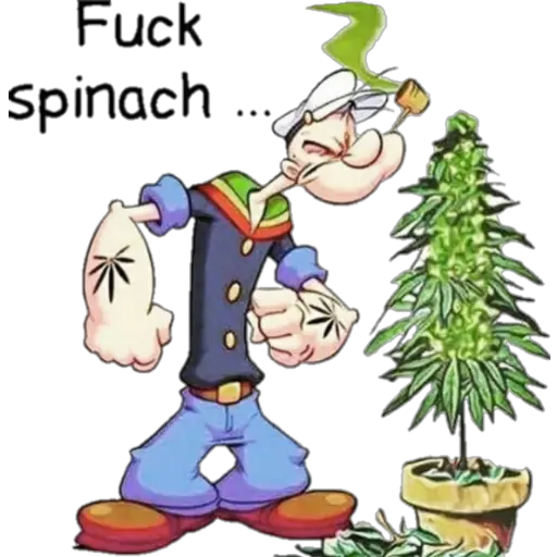 Fuck
spinach ...