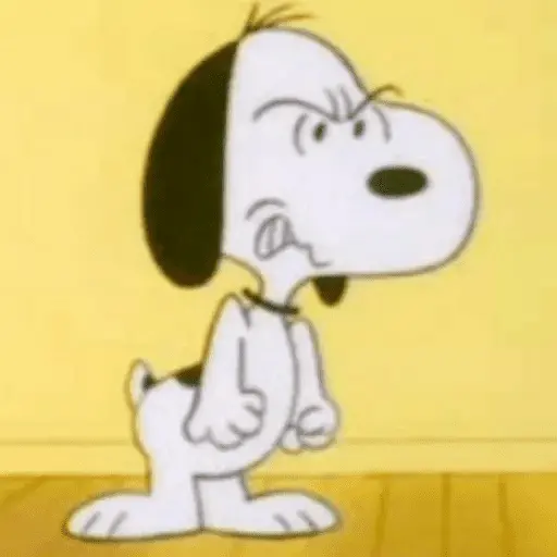 🐾Snoopy enojado 😡 3 🦴 23