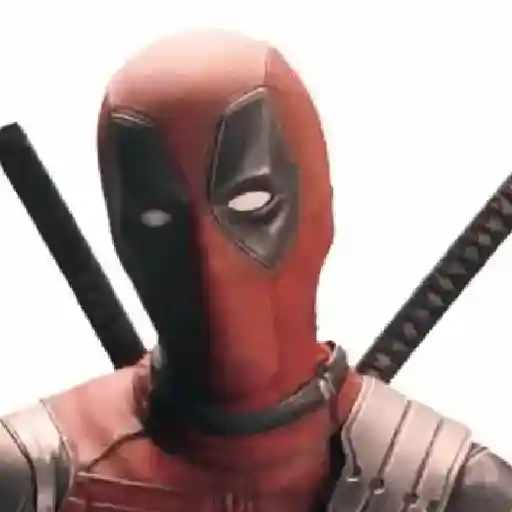 Deadpool × Wolverine 11