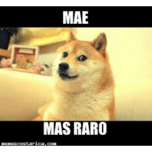 Mera de memes de costa rica 29