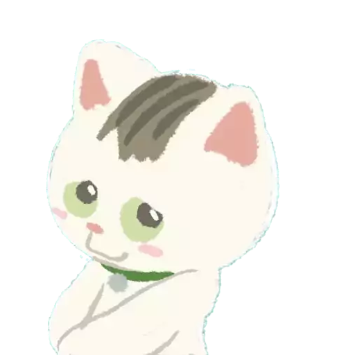 猫奴生活日常 5