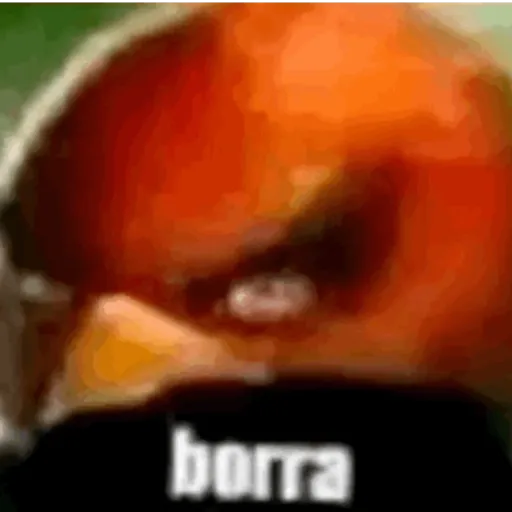 🐥los pollitos dicen🗣️ 8