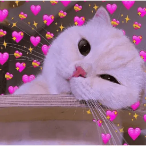 FIGURINHAS DE AMOR 💕 11