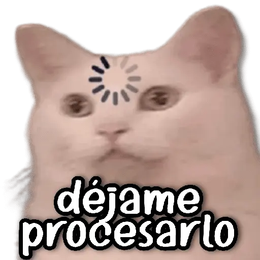 déjame procesarlo