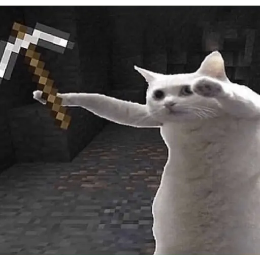 minecraft 19