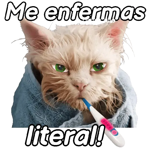 Animales Random pa contestar 💬