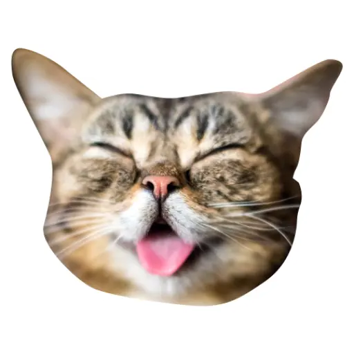 tray-icon