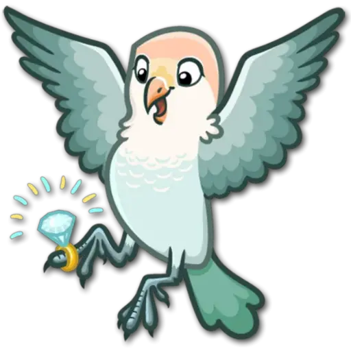 🐦Pajaros Lindos🐦  22