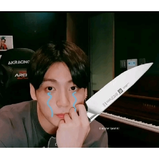 BTS y ARMYS 14 8