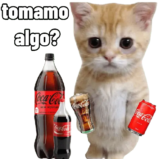 Michis con calor 🥵🥵 11