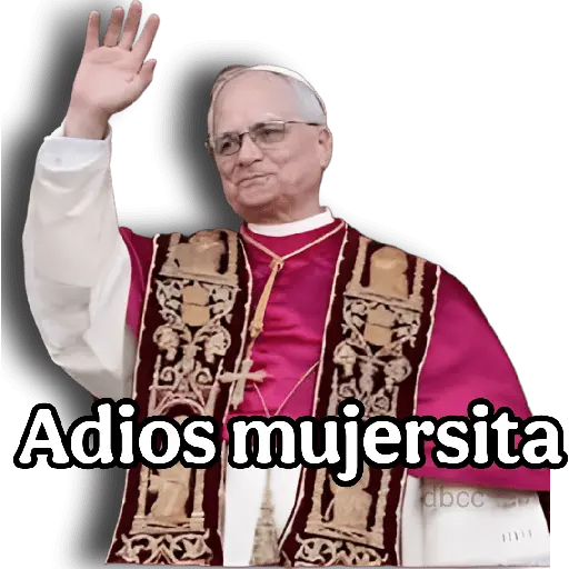 Papa Leon XIV 2😎 19