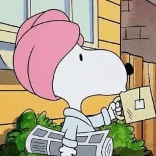 🐾•🏡Snoopy🏡•🐾 12