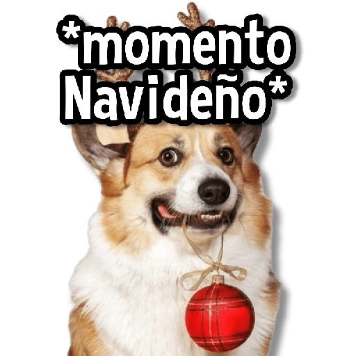 *momento Navideño*