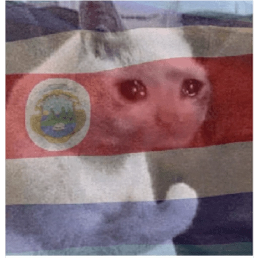 Mera de memes de costa rica 18