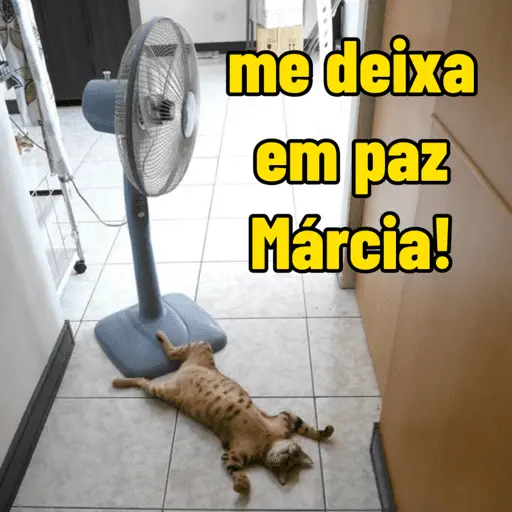 calor do djabo 🥵🌞 12