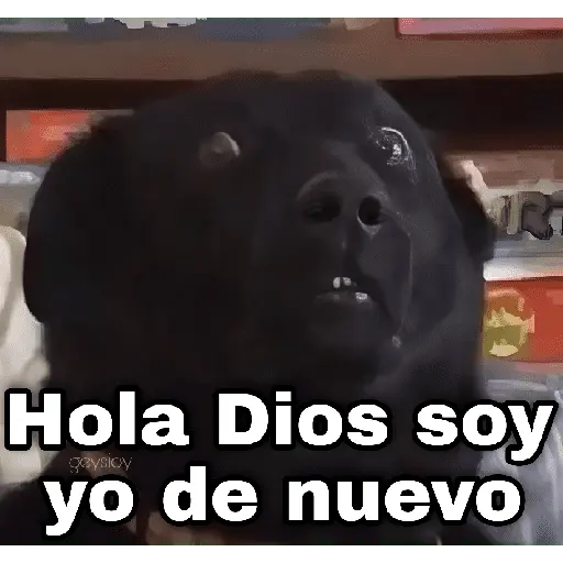 ✨ Memes mix 7 🔥 17