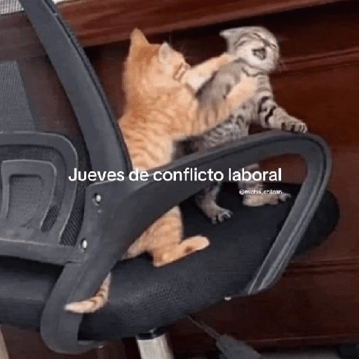 Jueves de conflicto laboral @michis chinan
