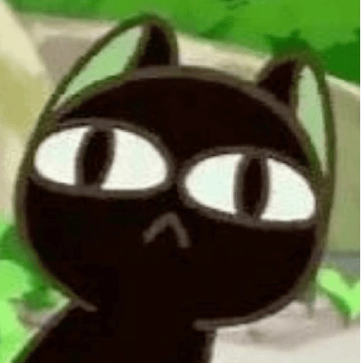 🌈🐈⬛✨️Gatito Negro Mood✨️🐈⬛🌈 16