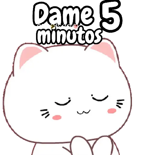 cute cats 🐱🩷🩵🐈