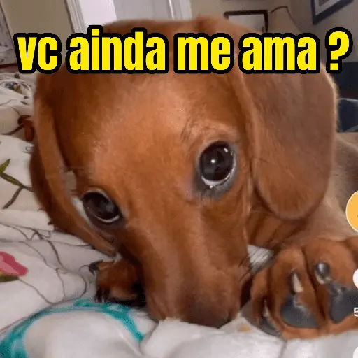 figurinhas de amor ❤️🤣 10